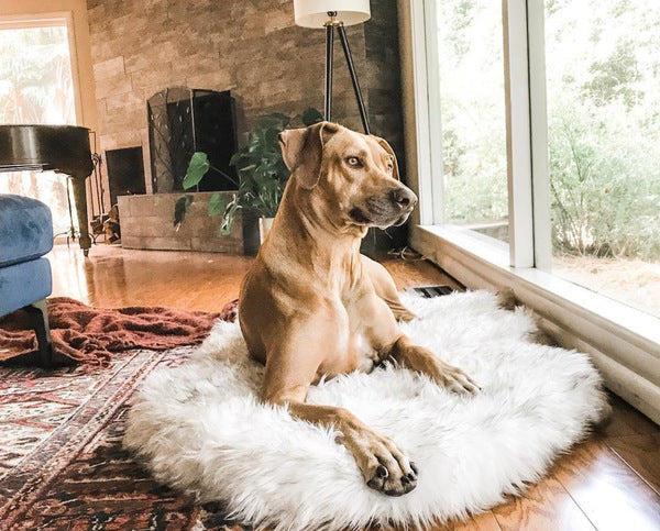 dog plush mat beige