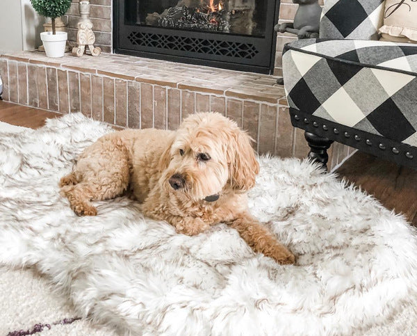 dog plush mat beige