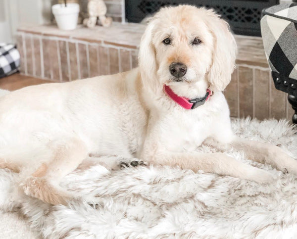 dog plush mat beige